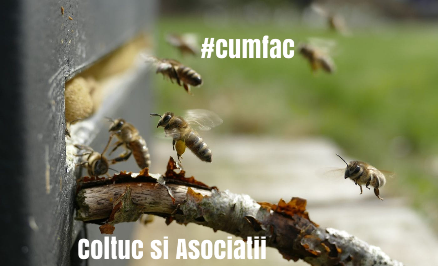 #cumfac - COLTUC -SI-ASOCIATII